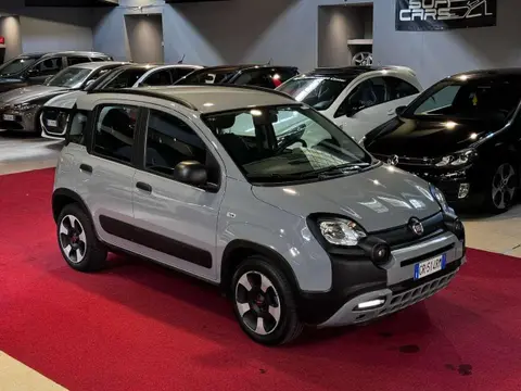 Used FIAT PANDA Hybrid 2021 Ad 