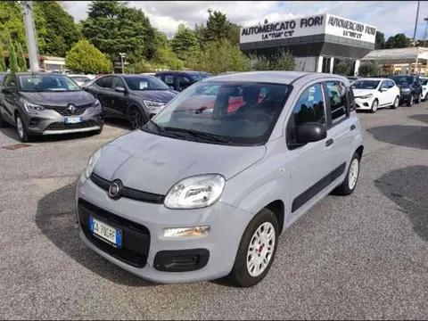 Used FIAT PANDA Petrol 2020 Ad 