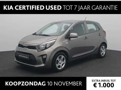 Used KIA PICANTO Petrol 2017 Ad 