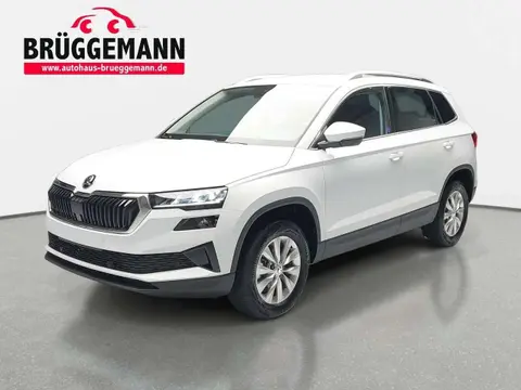 Annonce SKODA KAROQ Essence 2024 d'occasion 