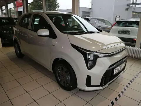 Annonce KIA PICANTO Essence 2024 d'occasion 