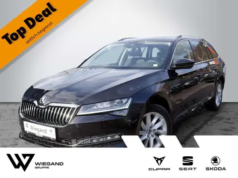 Annonce SKODA SUPERB Diesel 2024 d'occasion 