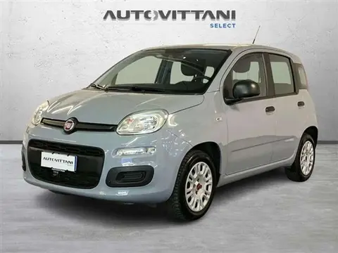 Annonce FIAT PANDA Essence 2019 d'occasion 