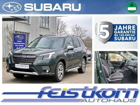 Annonce SUBARU FORESTER Essence 2024 d'occasion 