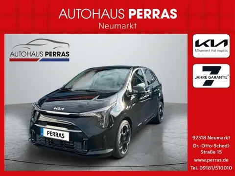 Used KIA PICANTO Petrol 2024 Ad 