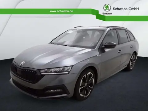 Used SKODA OCTAVIA Petrol 2024 Ad 