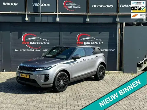 Used LAND ROVER RANGE ROVER EVOQUE Hybrid 2021 Ad 