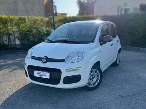 Used FIAT PANDA Hybrid 2020 Ad 