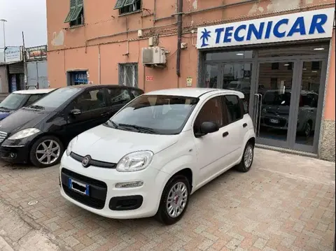 Used FIAT PANDA Petrol 2019 Ad 