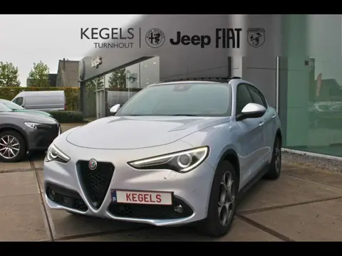 Used ALFA ROMEO STELVIO Diesel 2022 Ad 