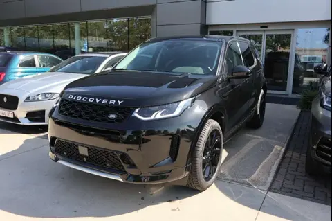 Annonce LAND ROVER DISCOVERY Hybride 2024 d'occasion 