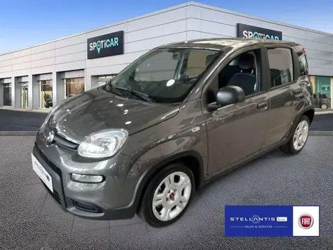 Used FIAT PANDA Petrol 2024 Ad 