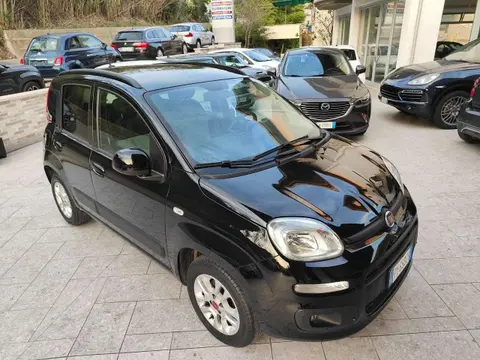 Used FIAT PANDA Petrol 2019 Ad 