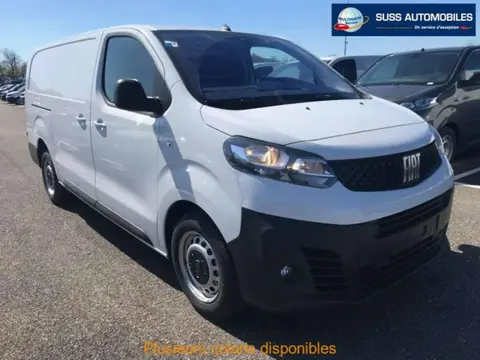 New FIAT SCUDO Diesel 2024 ad 