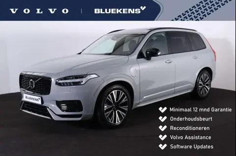 Used VOLVO XC90 Hybrid 2023 Ad 