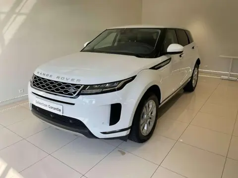 Annonce LAND ROVER RANGE ROVER EVOQUE Diesel 2019 d'occasion 