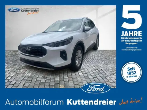 Used FORD KUGA Hybrid 2024 Ad 