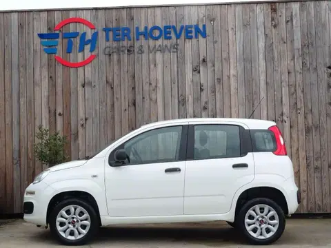 Used FIAT PANDA  2018 Ad 