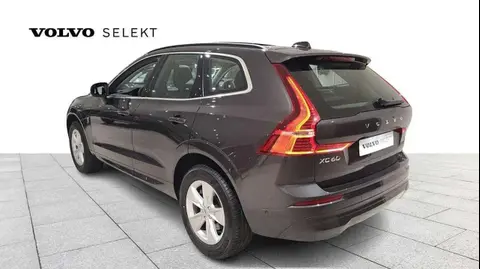 Used VOLVO XC60 Hybrid 2021 Ad Belgium