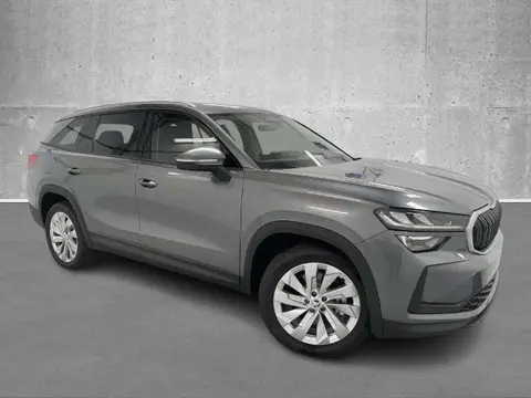 Used SKODA KODIAQ Petrol 2024 Ad 