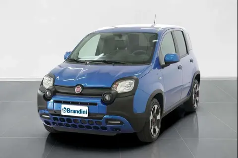 Used FIAT PANDA Hybrid 2024 Ad 