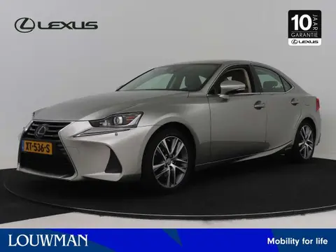 Used LEXUS IS Hybrid 2019 Ad 