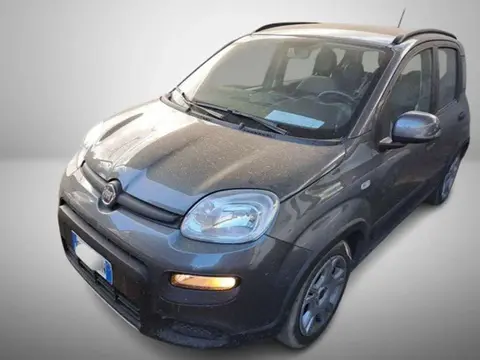 Used FIAT PANDA Hybrid 2023 Ad 