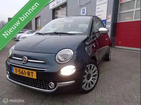 Used FIAT 500 Petrol 2019 Ad 