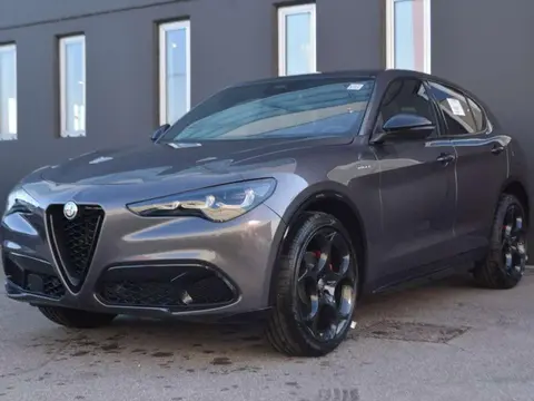 Annonce ALFA ROMEO STELVIO Diesel 2024 d'occasion 