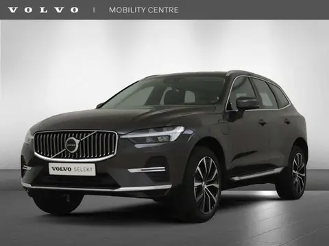 Annonce VOLVO XC60 Hybride 2023 d'occasion 