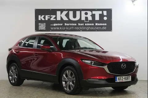 Used MAZDA CX-30 Petrol 2020 Ad 