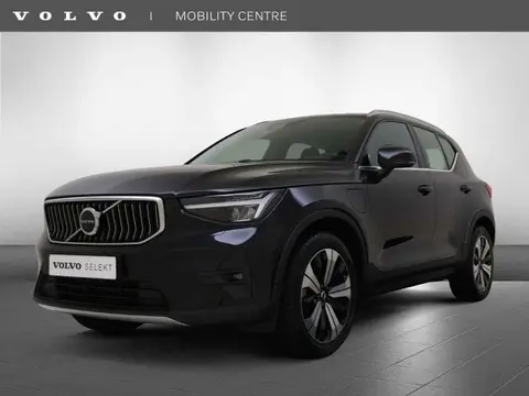 Used VOLVO XC40 Hybrid 2023 Ad 