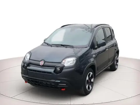 Annonce FIAT PANDA Hybride 2024 d'occasion 