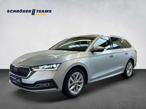 Used SKODA OCTAVIA Diesel 2020 Ad 