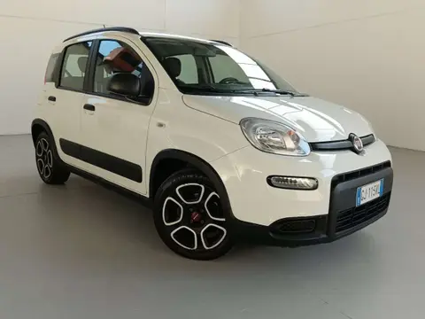 Used FIAT PANDA Hybrid 2022 Ad 