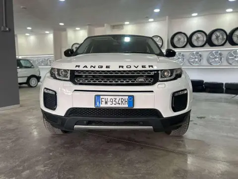 Used LAND ROVER RANGE ROVER EVOQUE Diesel 2019 Ad 