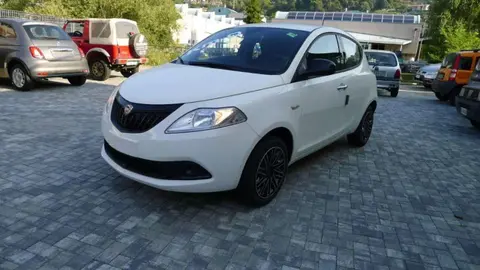 Used LANCIA YPSILON Hybrid 2024 Ad 