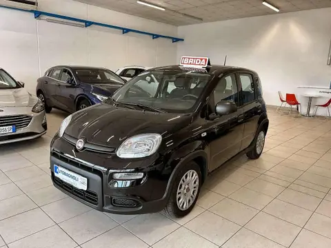 Used FIAT PANDA Hybrid 2023 Ad 