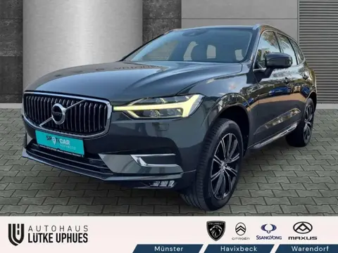 Used VOLVO XC60 Diesel 2017 Ad 