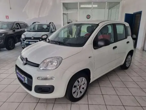 Used FIAT PANDA Petrol 2019 Ad 