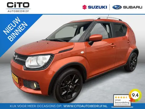 Used SUZUKI IGNIS Petrol 2019 Ad 