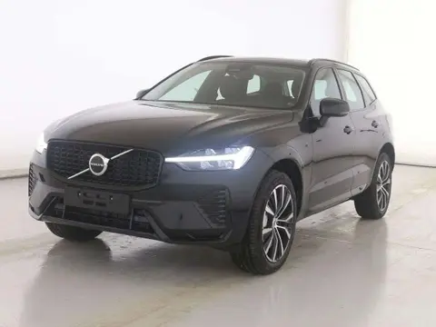 Used VOLVO XC60 Petrol 2024 Ad 