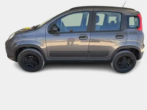 Used FIAT PANDA Petrol 2021 Ad 