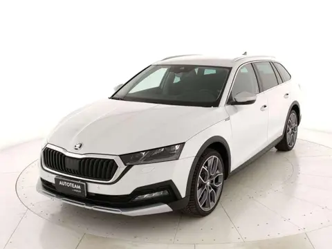 Used SKODA OCTAVIA Diesel 2022 Ad 