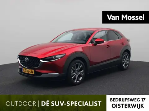 Annonce MAZDA CX-30 Hybride 2021 d'occasion 