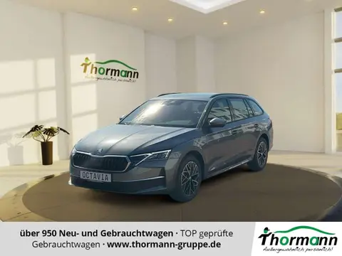 Used SKODA OCTAVIA Diesel 2024 Ad 