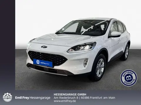 Used FORD KUGA Hybrid 2022 Ad 