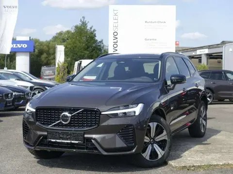 Used VOLVO XC60 Hybrid 2023 Ad 