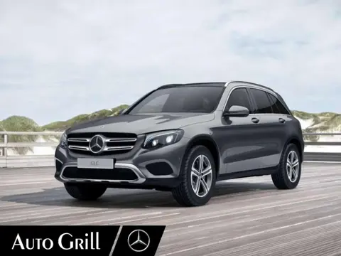 Used MERCEDES-BENZ CLASSE GLC Petrol 2017 Ad 