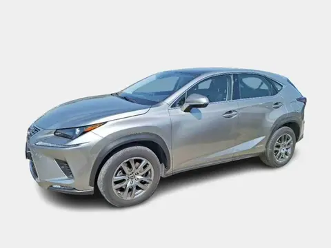 Annonce LEXUS NX Hybride 2020 d'occasion 